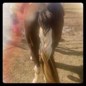 Hi Poshmark! Help Me Give Up My Clothes Addiction!